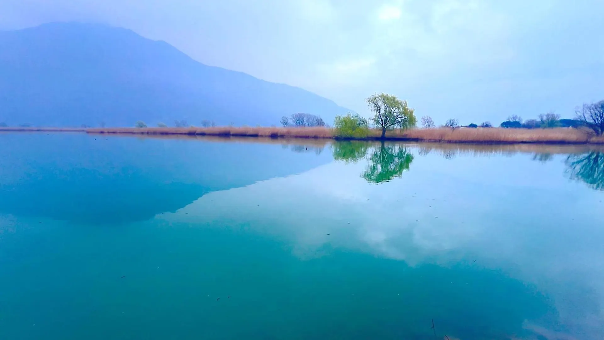 Dascio Lake Garden Serenity 0*,  Italy