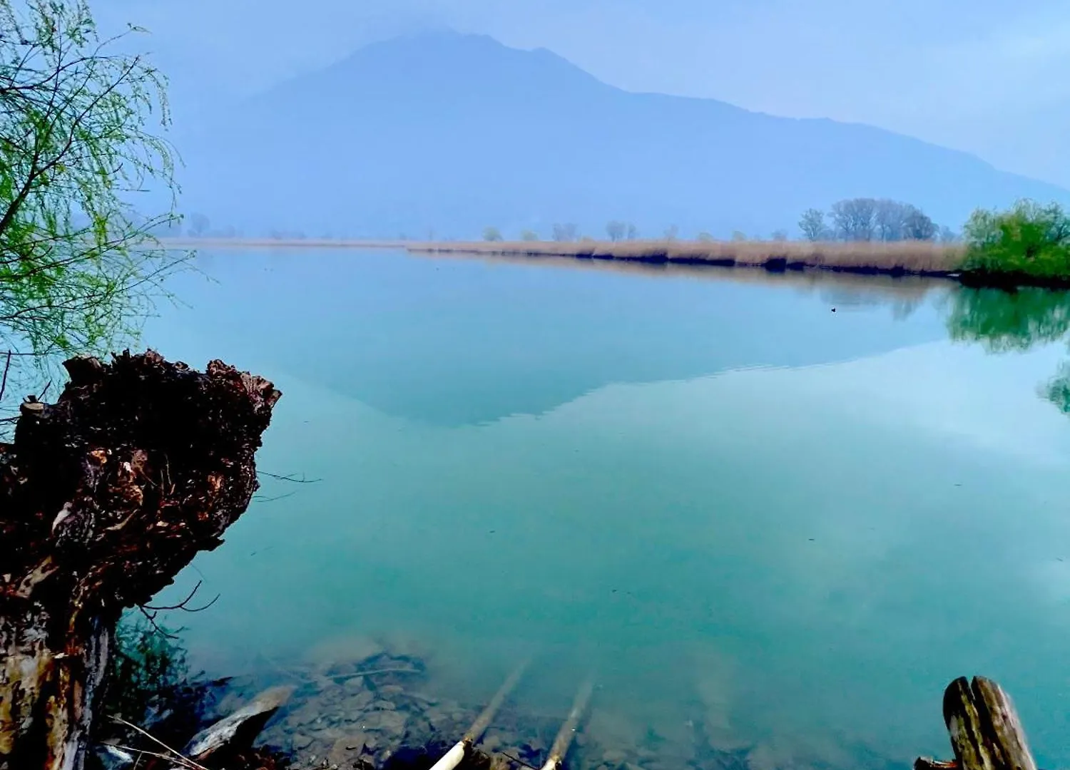 Dascio Lake Garden Serenity